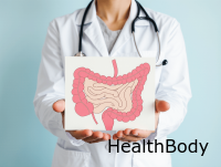 Гид по восстановлению кишечника: как вернуть здоровье системе, от которой зависит весь организм